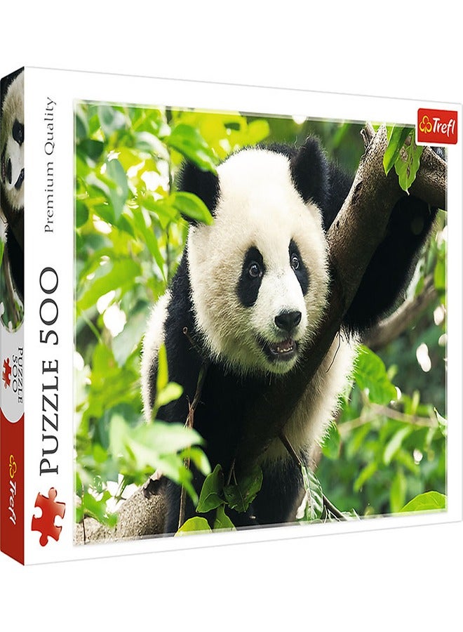 Trefl - Giant Panda Puzzle 500 Pieces - 37142 - Image 1