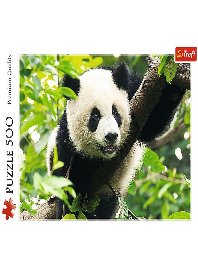 Trefl - Giant Panda Puzzle 500 Pieces - 37142 - Image 2