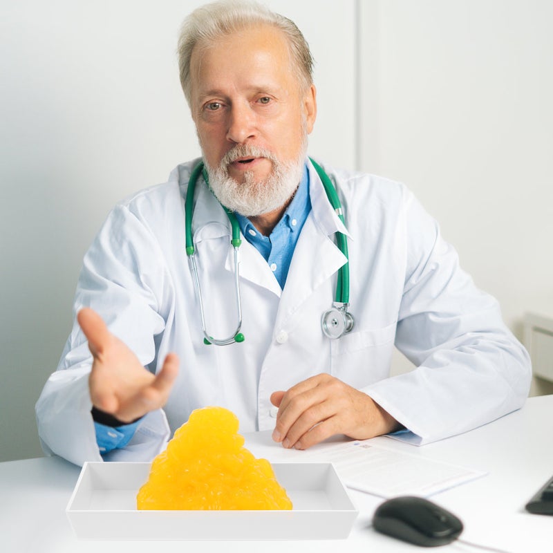 Body Fat Model Human Body Fat -pound Body Display Fat with Base - Image 3