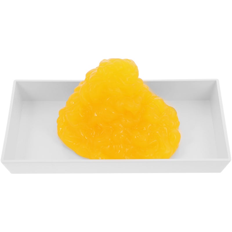 Body Fat Model Human Body Fat -pound Body Display Fat with Base - Image 1