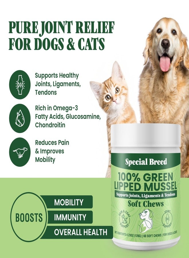 Special Breed Green Lipped Mussel for Dogs & Cats - 60 Soft Chews - New Zealand Green Lipped Mussels - Natural Hip & Joint Supplement for Joints, Tendons, Ligaments, Muscles - Image 2