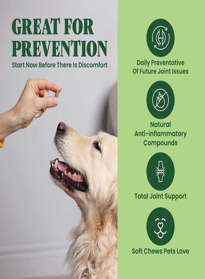 Special Breed Green Lipped Mussel for Dogs & Cats - 60 Soft Chews - New Zealand Green Lipped Mussels - Natural Hip & Joint Supplement for Joints, Tendons, Ligaments, Muscles - Image 3