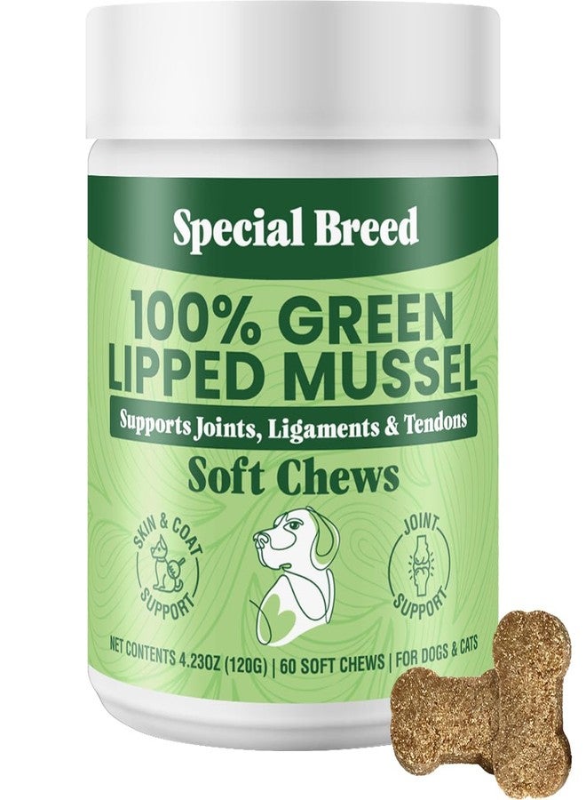 Special Breed Green Lipped Mussel for Dogs & Cats - 60 Soft Chews - New Zealand Green Lipped Mussels - Natural Hip & Joint Supplement for Joints, Tendons, Ligaments, Muscles - Image 1