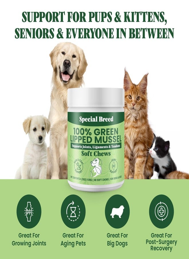 Special Breed Green Lipped Mussel for Dogs & Cats - 60 Soft Chews - New Zealand Green Lipped Mussels - Natural Hip & Joint Supplement for Joints, Tendons, Ligaments, Muscles - Image 4