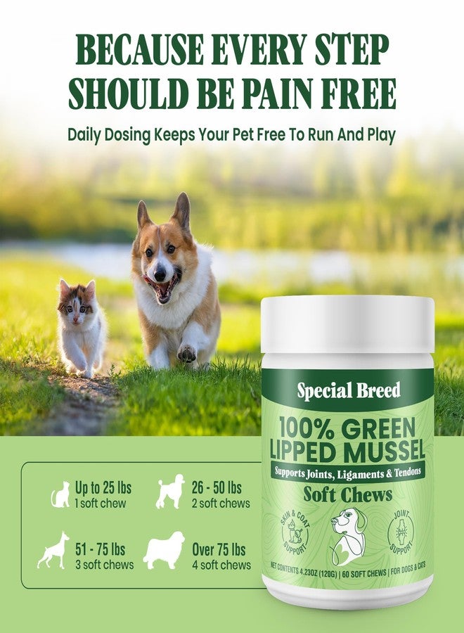Special Breed Green Lipped Mussel for Dogs & Cats - 60 Soft Chews - New Zealand Green Lipped Mussels - Natural Hip & Joint Supplement for Joints, Tendons, Ligaments, Muscles - Image 5