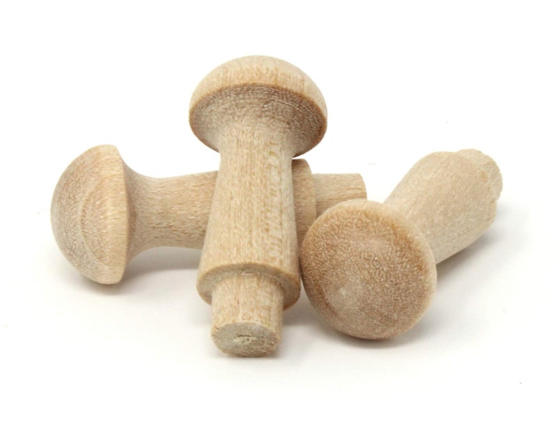 1Inch Miniature Mini Unfinished Small Wood Shaker Pegs Paint or Stain for Crafts Includes Tenon Length of 316Inch 50Pack  Balsam Point Workshop