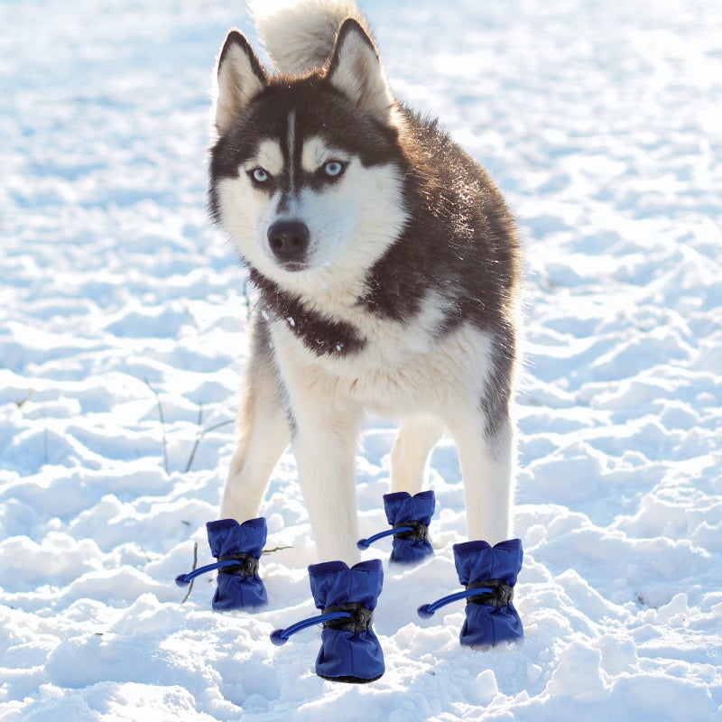 3 Sets of Pet Rainshoes Dog Boots Thickened Dog Rain Shoes Pet Supplies - Image 4