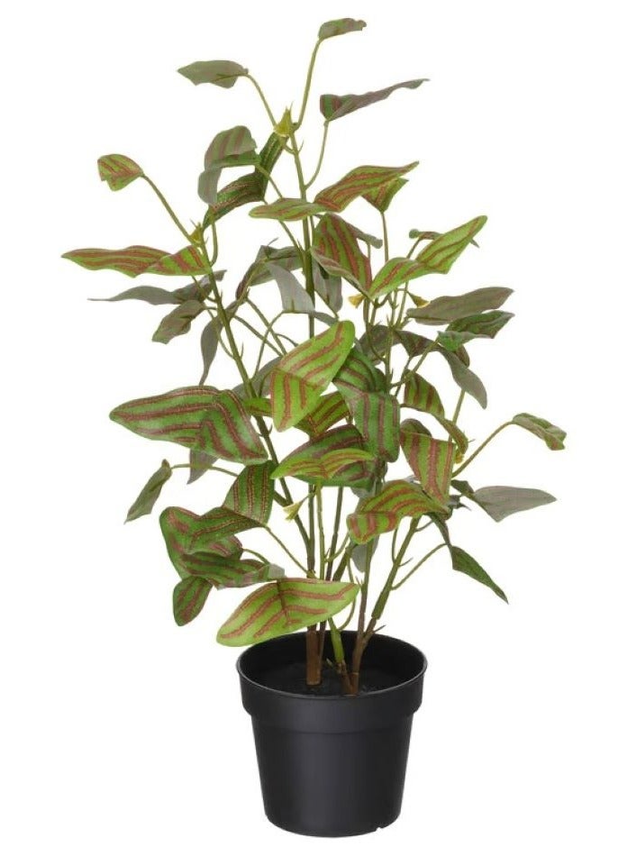 آيكيا فراكتا نبات صناعي في آنية, داخلي/خارجي ‫نبتة الفراشة,34× 9 سم - Image 1