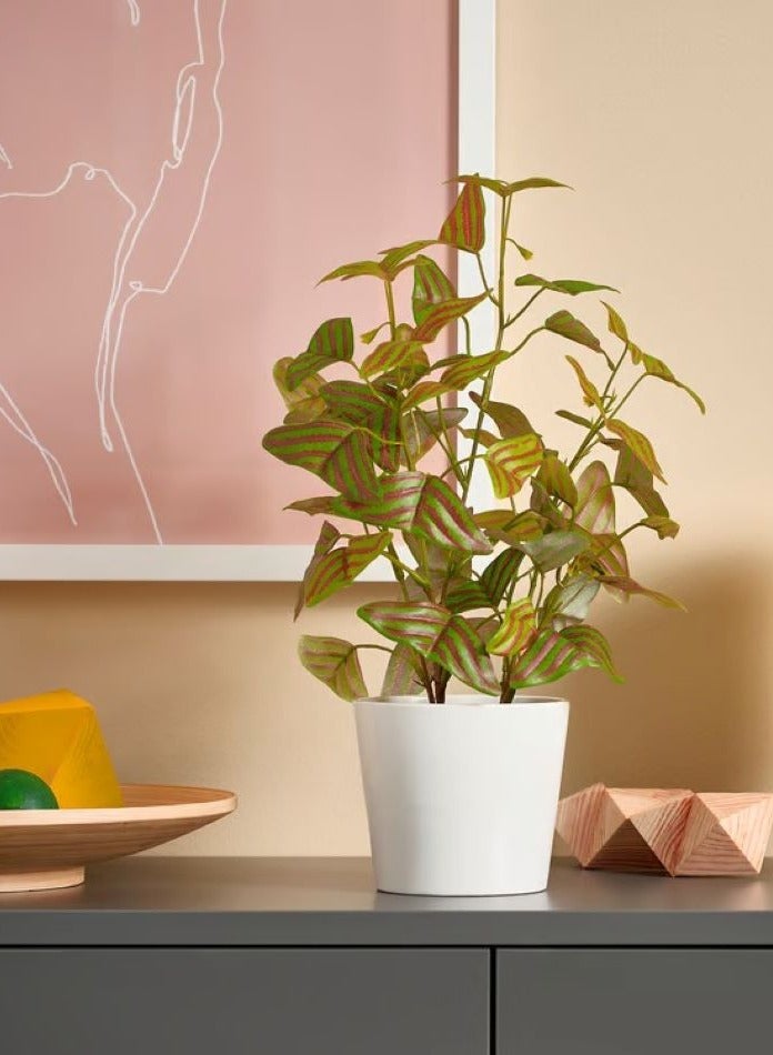 آيكيا فراكتا نبات صناعي في آنية, داخلي/خارجي ‫نبتة الفراشة,34× 9 سم - Image 2