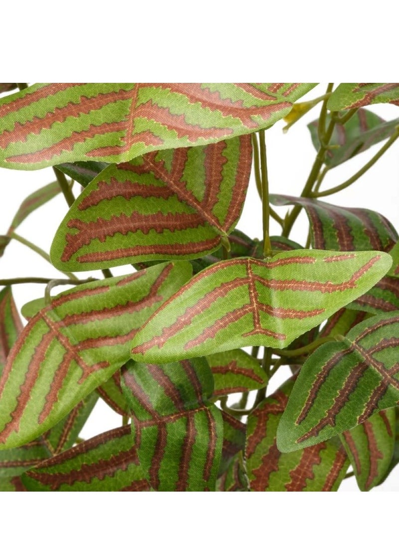 آيكيا فراكتا نبات صناعي في آنية, داخلي/خارجي ‫نبتة الفراشة,34× 9 سم - Image 4