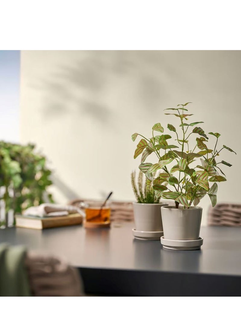 آيكيا فراكتا نبات صناعي في آنية, داخلي/خارجي ‫نبتة الفراشة,34× 9 سم - Image 3