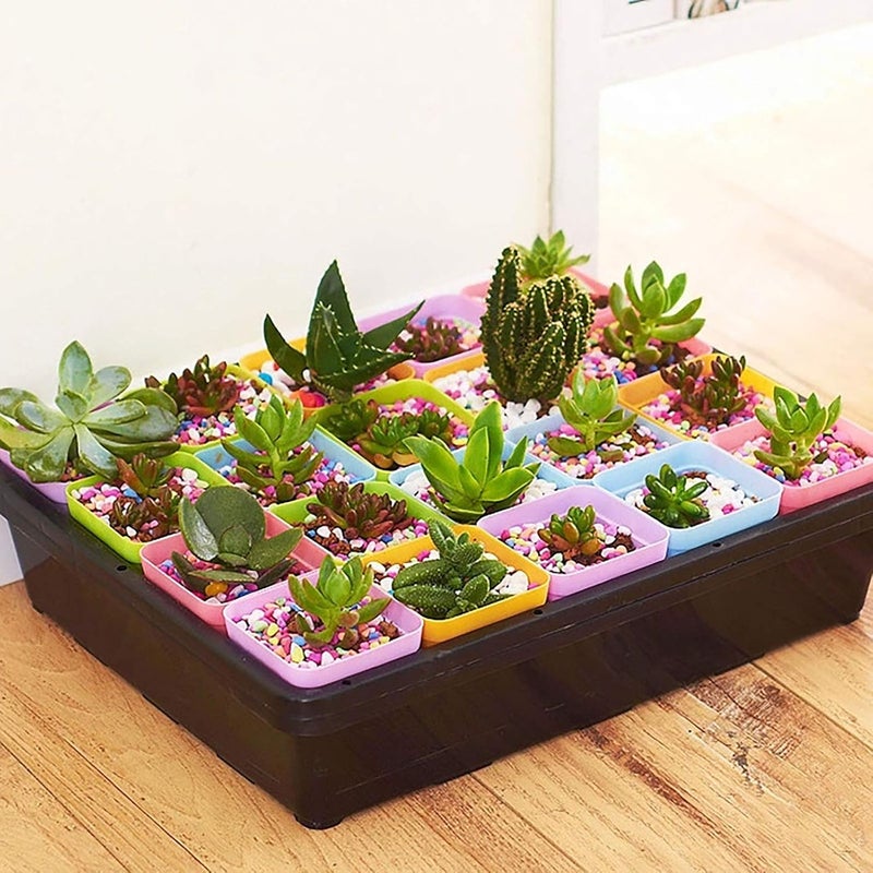 ويوبلز صينية إنبات البذور، 20 خلية، صينية بدء زراعة الشتلات/النباتات السميكة مع قبة رطوبة قابلة للتعديل وقاعدة، صواني زراعة الدفيئة لزراعة بذور الخضراوات والفواكه في الدفيئة والحديقة والمشاتل (أ) - Image 5