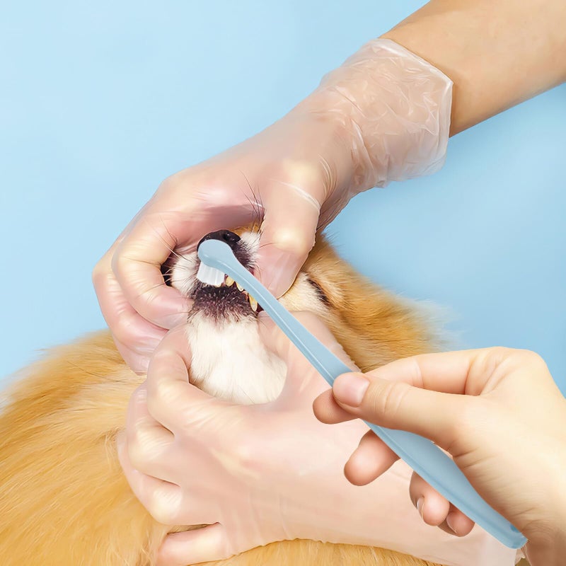 Soft Round Head Pet Toothbrush For Dogs Cats Gentle Cleaning With Ergonomic Handle - Image 5