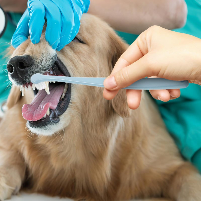 Soft Round Head Pet Toothbrush For Dogs Cats Gentle Cleaning With Ergonomic Handle - Image 4