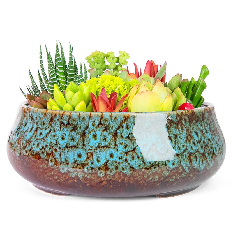 Artketty Succulent Pots - 8 Inch Plant Pot  Large Bonsai Pots With Drainage  Ceramic Planters For Indoor Outdoor Plants  Round Shallow Cactus Flower Plant Container Bowl Decorative Home Garden - Image 1