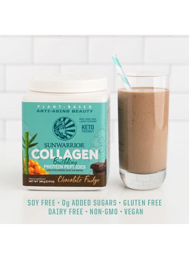 Sunwarrior Vegan Collagen Building Powder Protein Peptide with Biotin Vitamin C Hyaluronic Acid for Hair Skin Nail Dairy Free Gluten Free | Chocolate  - Image 5