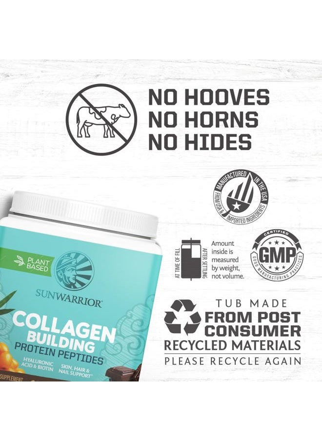 Sunwarrior Vegan Collagen Building Powder Protein Peptide with Biotin Vitamin C Hyaluronic Acid for Hair Skin Nail Dairy Free Gluten Free | Chocolate  - Image 3