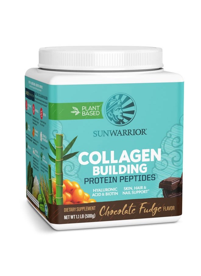Sunwarrior Vegan Collagen Building Powder Protein Peptide with Biotin Vitamin C Hyaluronic Acid for Hair Skin Nail Dairy Free Gluten Free | Chocolate  - Image 1