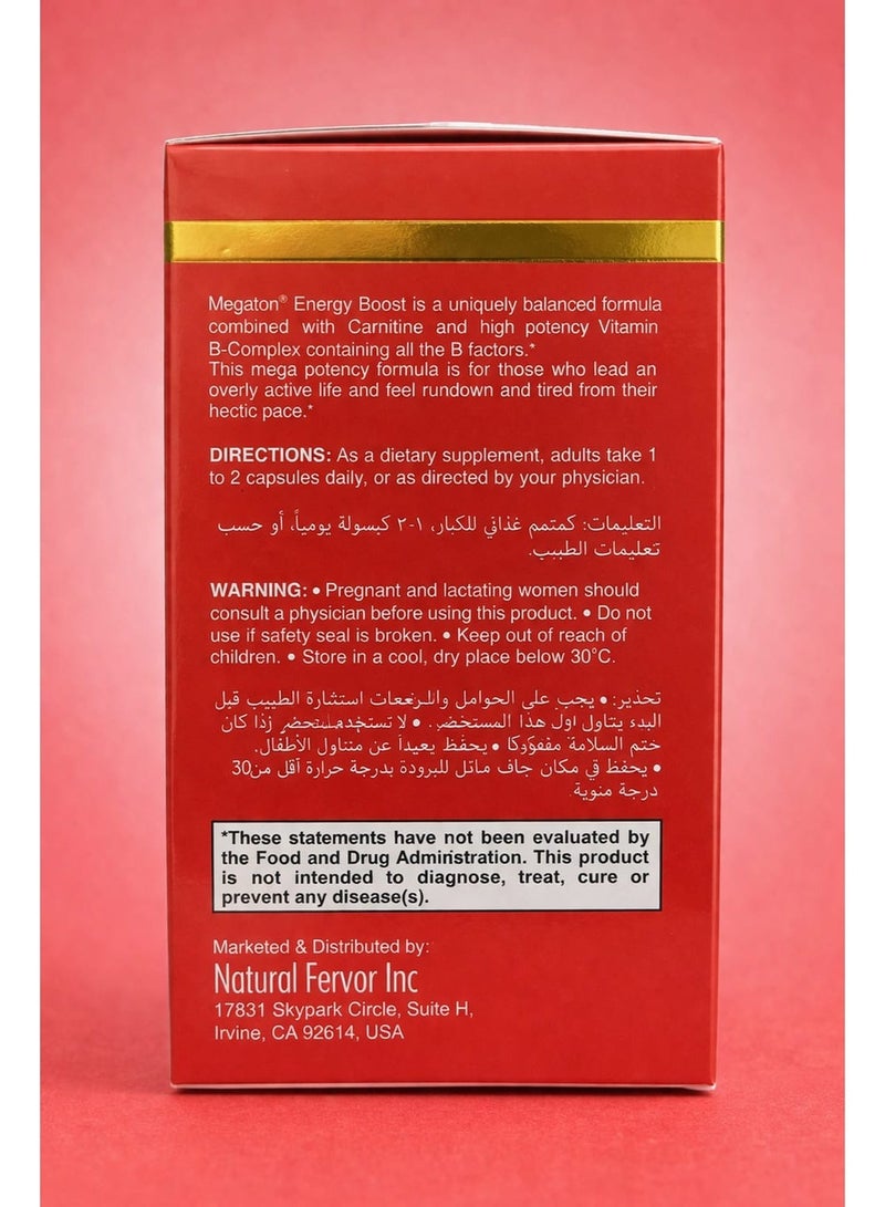 Natural Fervor Megaton Energy Boost with Ginseng & B- vitamins - Image 4
