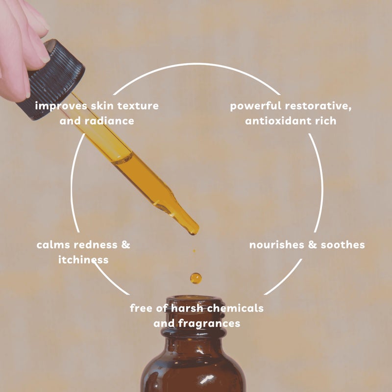 Offernova Organic Rosa de Mosqueta Oil- USDA Certified Rosehip Seed Oil Pure Cold Pressed, Repairs & Brightens Skin - Gua Sha Massage, Face, for All Skin Types - Aceite Facial 1OZ - Image 5