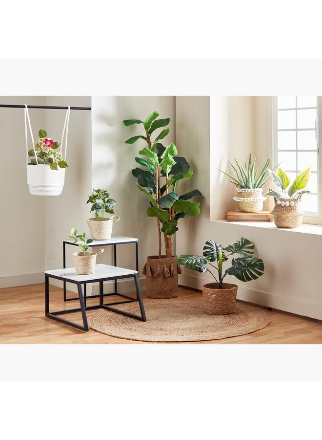 تيرا أصيص زرع معلق 23×23 سم - Image 5