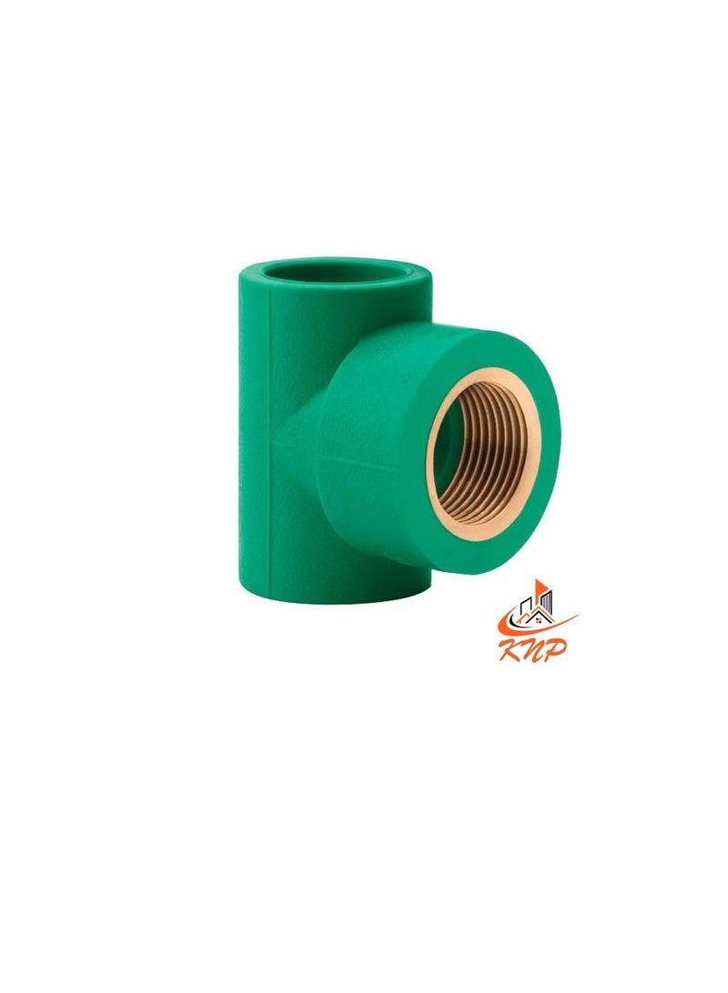 KNP PPR Female Tee 1/2" X 25mm - Image 2