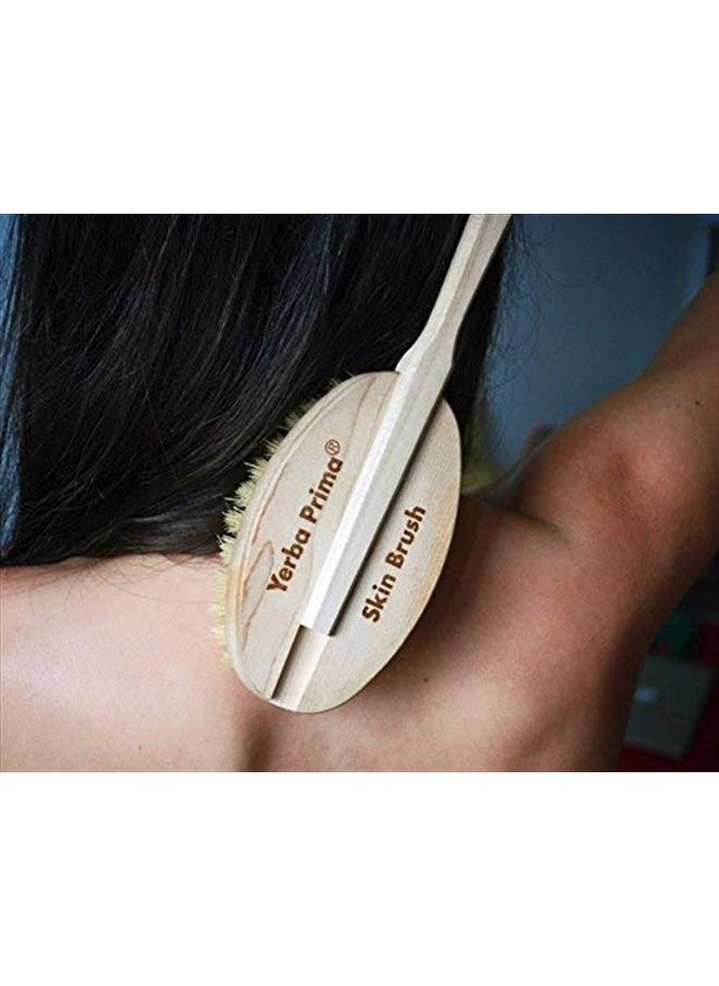 Yerba Prima Tampico Skin Brush (Pack of 1) - Natural Vegetable Fiber Bristles for Dry Skin Brushing  - Image 5