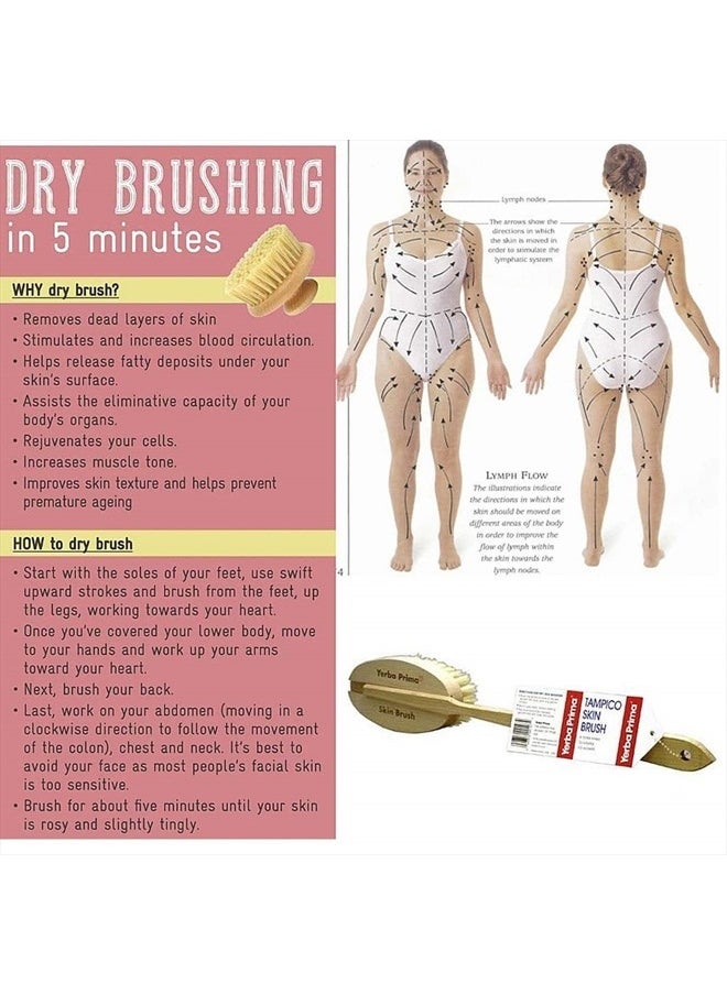Tampico Skin Brush (Pack of 1) - Natural Vegetable Fiber Bristles for Dry Skin Brushing