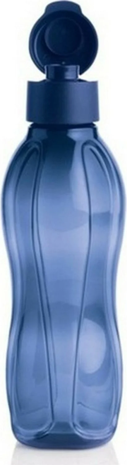 توبروير Eco Bottle 1 Liter Navy Blue And 1 Liter Green Drinker