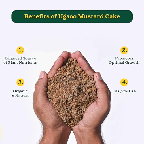 UGAOO Mustard Oil Cake Powder for Healthy Plants And Soil - 1 Kg - Image 4