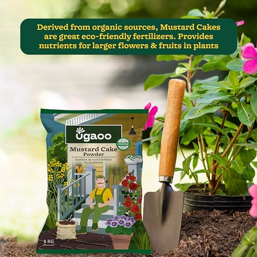 UGAOO Mustard Oil Cake Powder for Healthy Plants And Soil - 1 Kg - Image 2