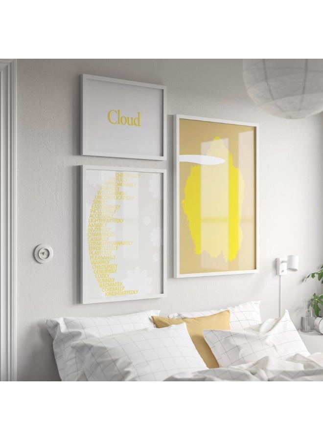 إطار RÖDALM باللون الأبيض، مقاس 50×70 سم. - Image 4