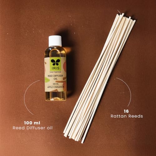 Iris Reed Diffuser Refill Pack Apple Cinnamon Fragrance 100ml - Image 3