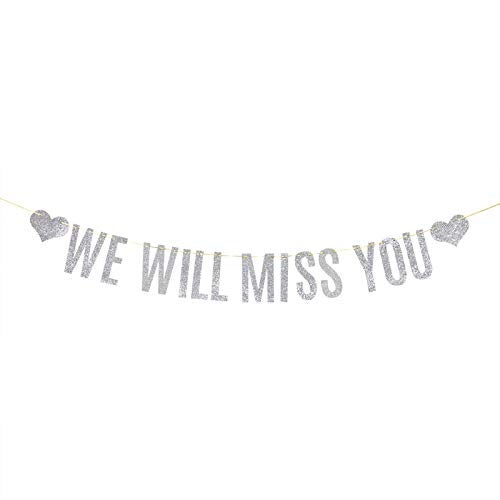 Festiko® Silver Glitter We Will Miss You Banner Farewell Party Bon Voyage Retirement Party Decorations - Image 1
