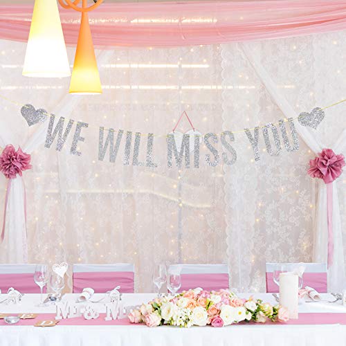 Festiko® Silver Glitter We Will Miss You Banner Farewell Party Bon Voyage Retirement Party Decorations - Image 3
