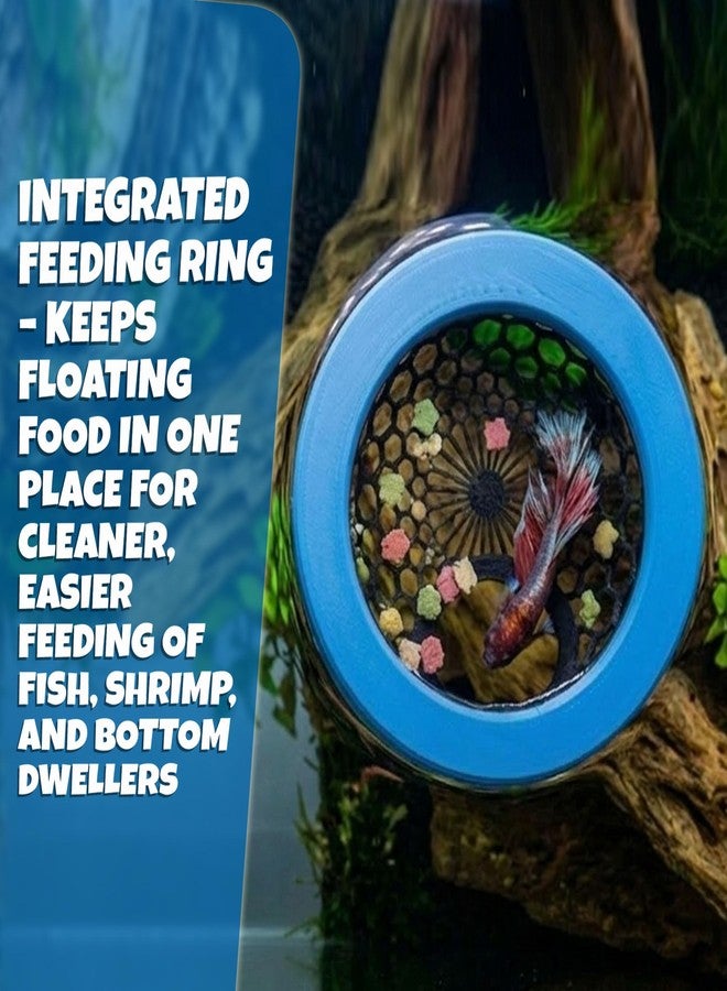 Formit Crafts Floating Betta Hide & Shrimp Cave - Aquarium Resting Hammock & Decorative Shelter, Feeding Ring & Safe Resting Shelter for Betta, Shrimp & Small Fish - Eco‑Safe - Image 4