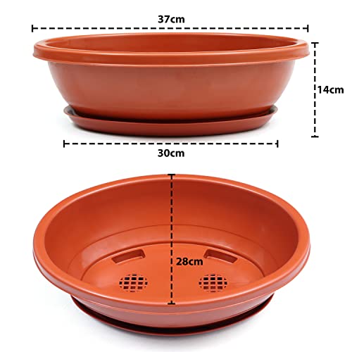 Livzing 15inch Pack of 5 Bonsai Flower Pot with Tray - Virgin Planter Pots with Drain Holes – Indoor Outdoor Balcony Gardening Pots - Oval Shaped Grow Pots for Plants - Terracotta - Image 2