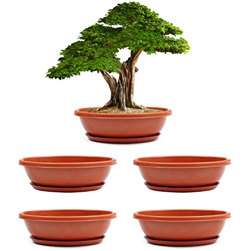 Livzing 15inch Pack of 5 Bonsai Flower Pot with Tray - Virgin Planter Pots with Drain Holes – Indoor Outdoor Balcony Gardening Pots - Oval Shaped Grow Pots for Plants - Terracotta - Image 1