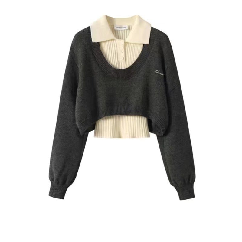 Preppy Crop Sweater Women Autumn Winter Two-Piece Knit Outfit Dark gray two-piece set [straight hair at the counter]