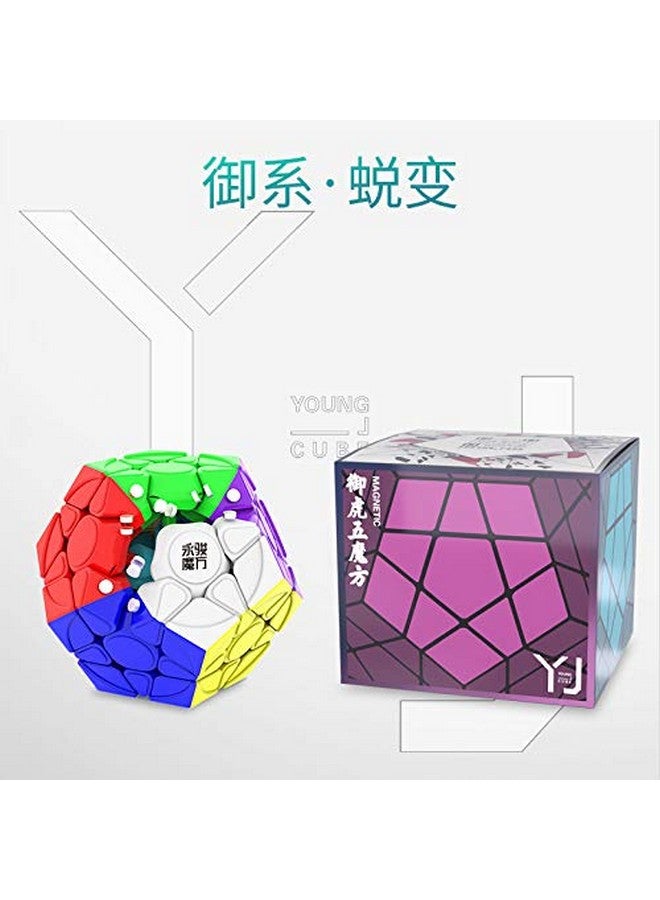 CuberSpeed yj yuhu Magnetic Megaminx Stickerless Speed Cube Speed Puzzle Cube yongjun yuhu v2 m megaminx Cube Puzzle - Image 2