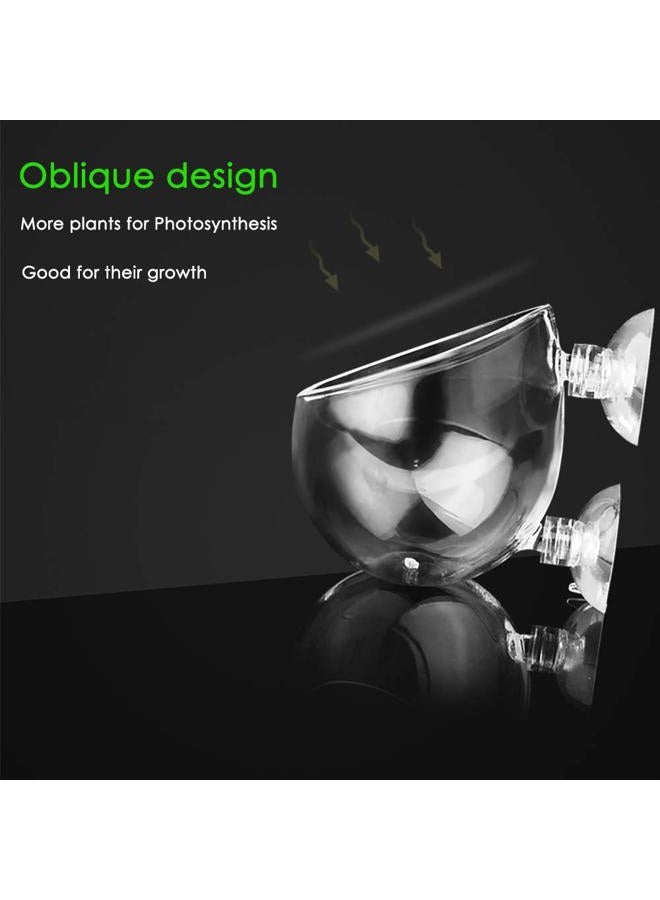 capetsma Aquarium Plant Pot, Glass Fish Tank Plants Holder Aquarium Planter, Aquarium Decoration Plants Cup with 2 Suction Cups for Fish Tank Aquarium Decor Ornament - 1 Pack… - Image 3