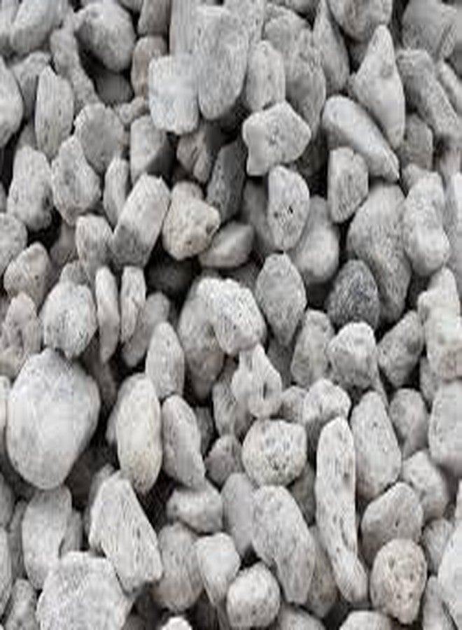 وسائط ترشيح أحواض السمك من أكواتيك ريميديز إكس-بورز (500 غرام) - ترشيح بيولوجي وميكانيكي متطور للمياه العذبة والمالحة | مساحة سطحية عالية للبكتيريا النافعة - Image 5