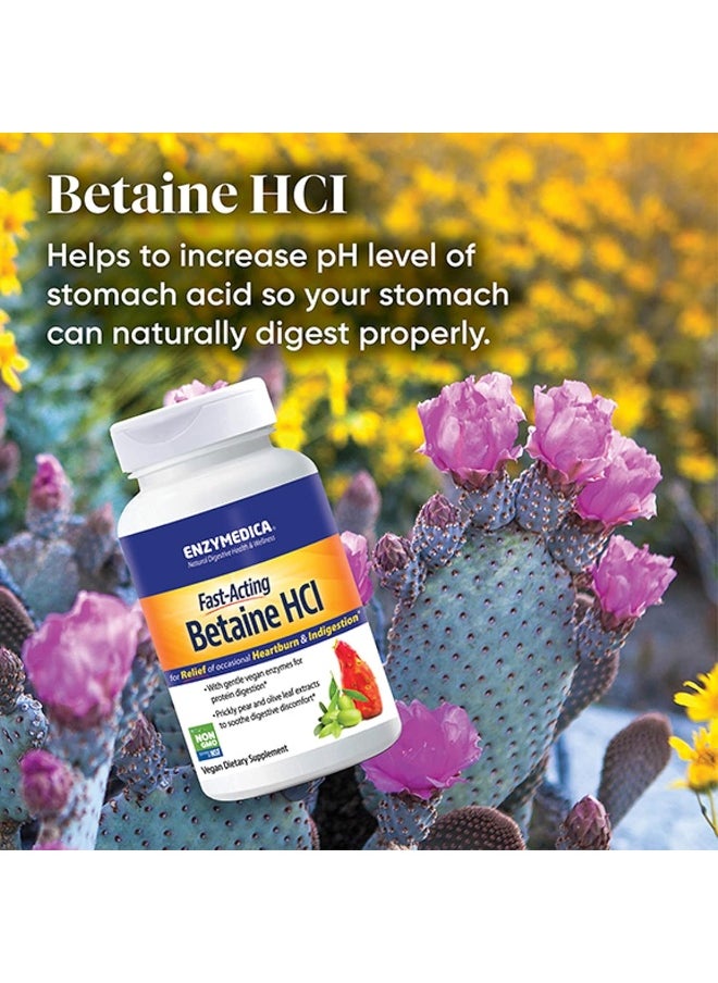 ENZYMEDICA Fast-Acting Betaine Hcl Heartburn & Indigestion Relief Formula  - Image 5
