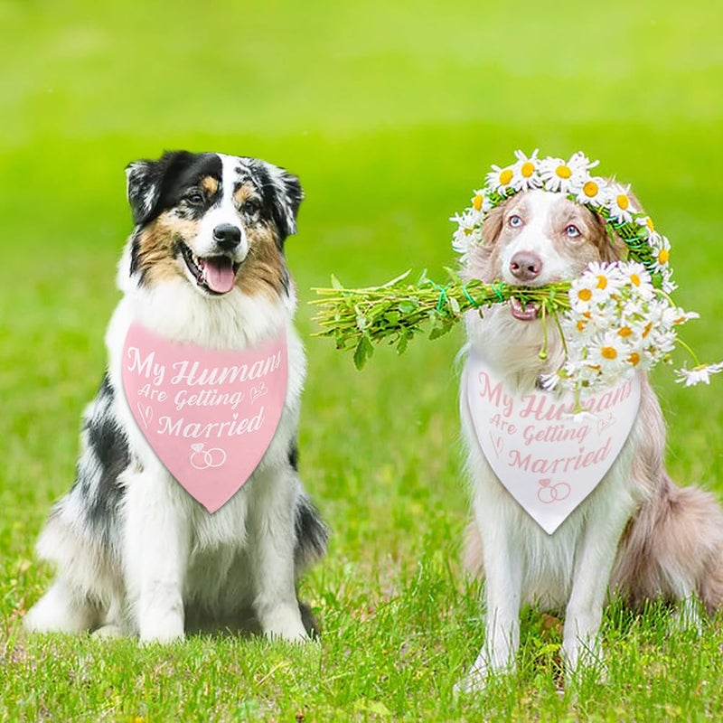 SZEE Bridal Shower Gifts for Bride, 2 Pack My Humans are Getting Married Dog Bandanas, Wedding or Engagement Gift for Couples, Dog Wedding Bandanas, Engagement Party Decorations (Pink & White, L) - Image 2