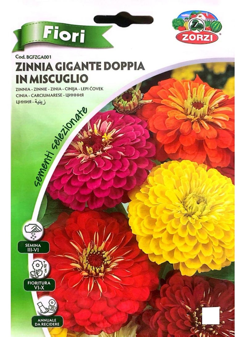 ZORZI Zinnia Seeds - Image 1