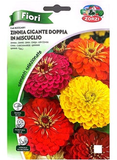 ZORZI Zinnia Seeds  - Image 2