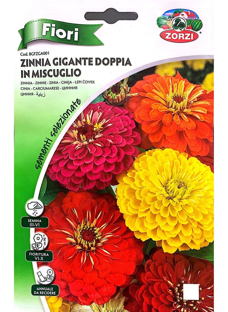 ZORZI Zinnia Seeds - Image 2