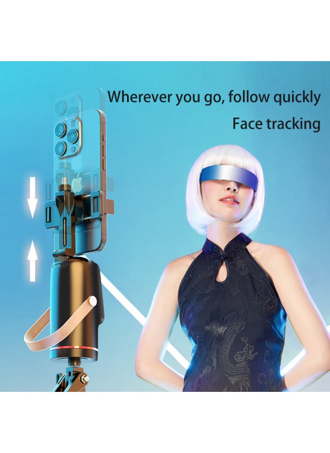 Generic - Q03 Smart Follow-up Pan-tilt 360-degree Rotation AI Face Recognition Live Tracking Shooting Mobile Phone Selfie Stick-Color:Two Special Large Lights - Image 1