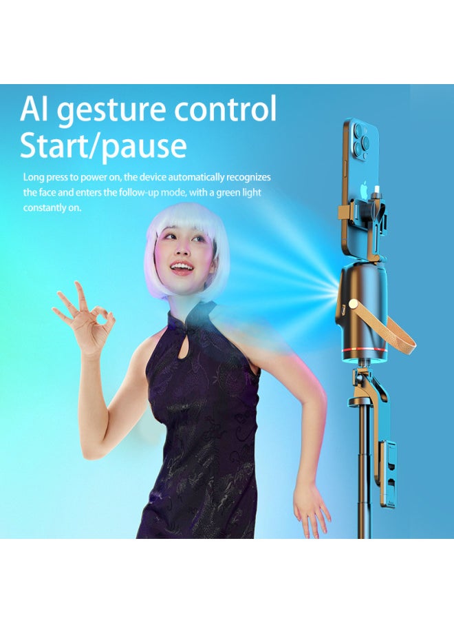Generic - Q03 Smart Follow-up Pan-tilt 360-degree Rotation AI Face Recognition Live Tracking Shooting Mobile Phone Selfie Stick-Color:Two Special Large Lights - Image 1