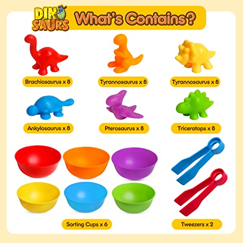 JOCHA Color Sorting and Counting Dinosaurs Toys for Toddlers 3 5 4 Years Old Preschool Matching Learning Educational Game Montessori Sensory Math Classification Activities Toys for Kids Boys Girls - Image 5